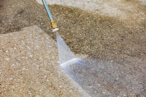 Best Soft Washing  in Rochelle, IL